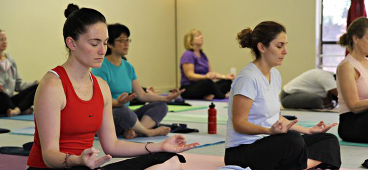 Wellness Haven Yoga | San Ramon's Authentic Online Yoga Studio